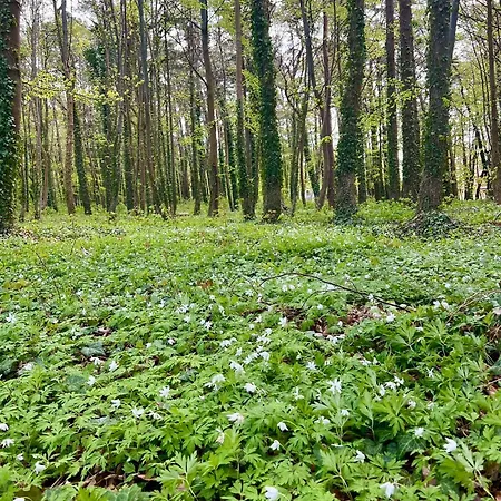 Sloneczne Mieroszyno - Holiday park Jastrzebia Gora
