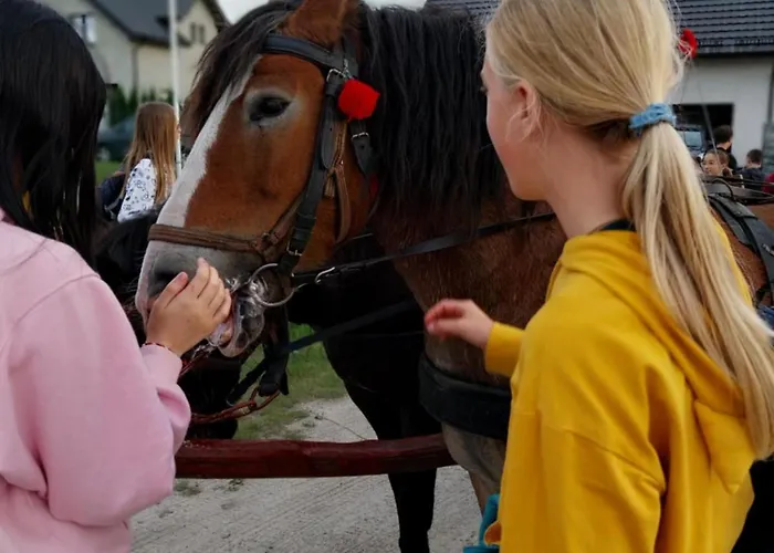 Sloneczne Mieroszyno -